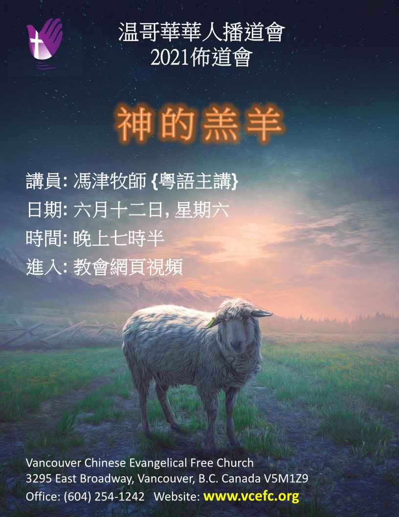 Poster Lamb R1